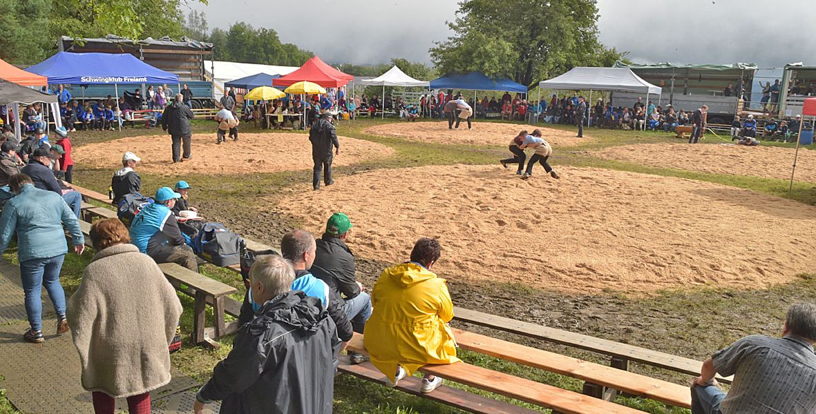 Beim 54. Homberg-Schwinget traten 124 Jungschwinger im Alter zwischen 6 und 15 Jahren an.