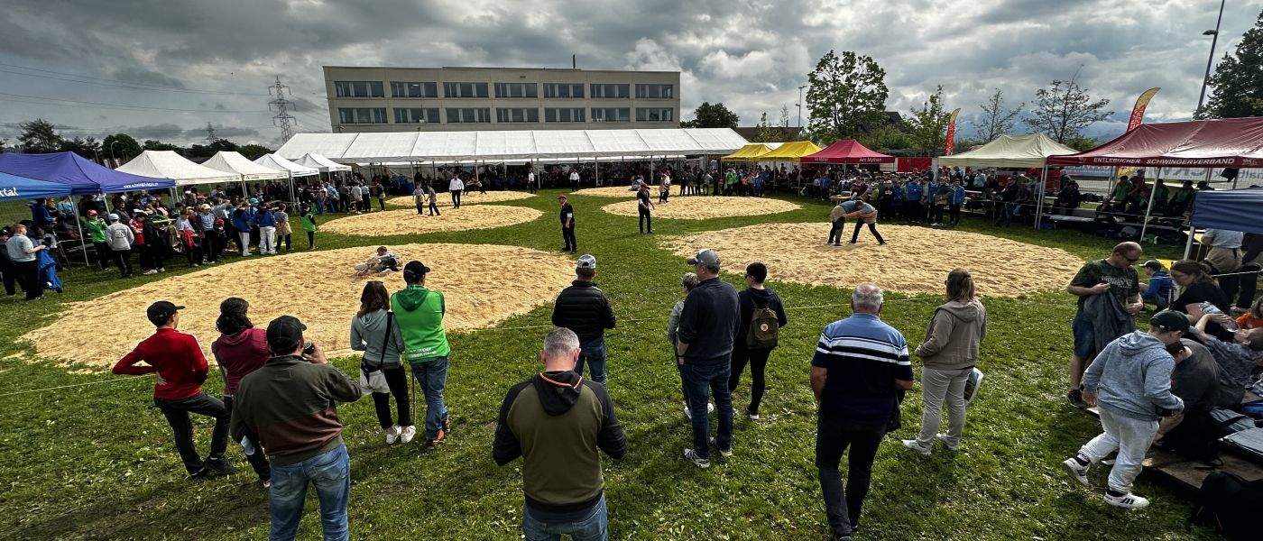 Festplatz Roteborger Schwinget 2023